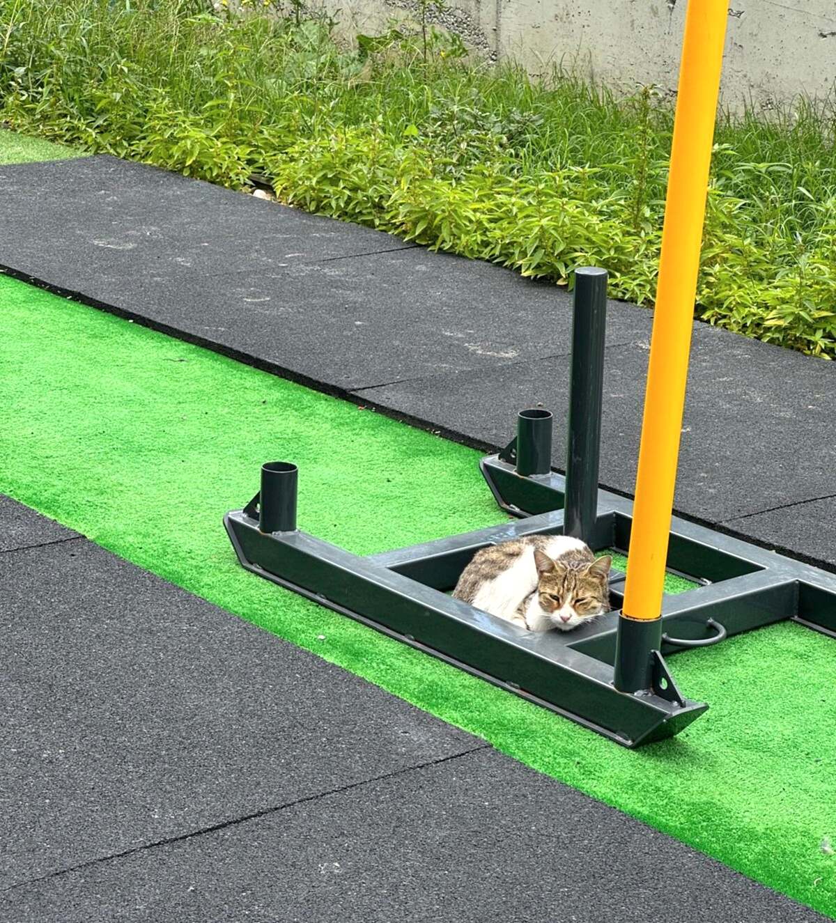 FONKSİYONEL ANTRENMAN (FUNCTIONAL TRAINING)